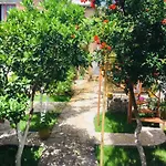 Geart Apartamento